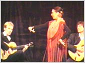Flamenco Gitarren mit Flamencot&auml;nzerin