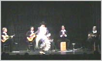 Flamenco Show