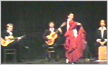 Flamenco Konzert  mit Flamenco T&auml;nzerin